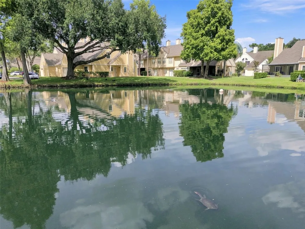 1356 BIG PINE DRIVE #1356 Valrico, FL 33596