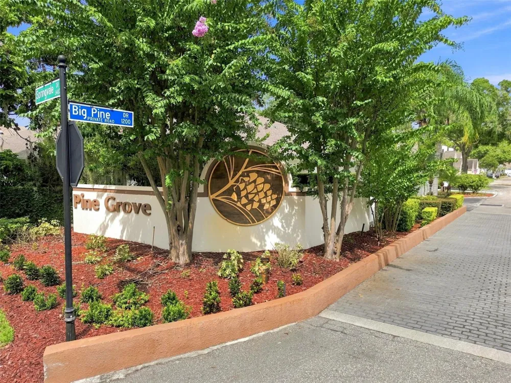 1356 BIG PINE DRIVE #1356 Valrico, FL 33596