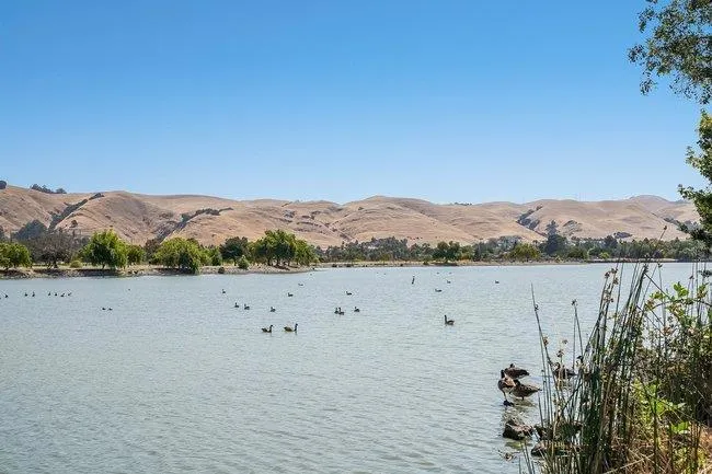 38966 Gar Terrace Fremont, CA 94536