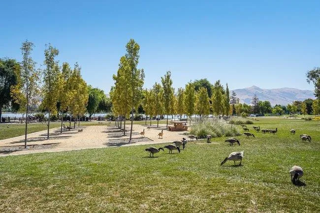 38966 Gar Terrace Fremont, CA 94536