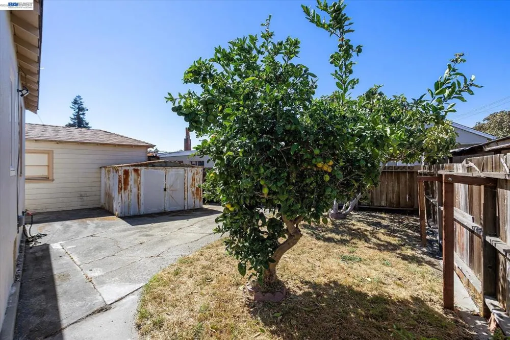 477 Cascade Rd San Leandro, CA 94577