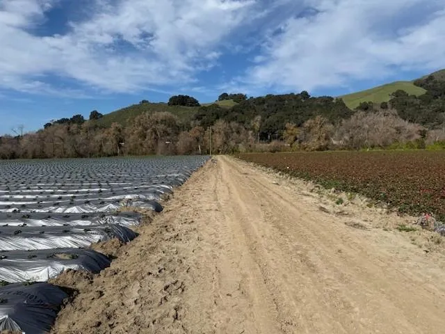 Murphy Hill Road Watsonville, CA 95076