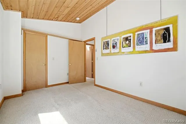 7101 County Road 43 Bailey, CO 80421