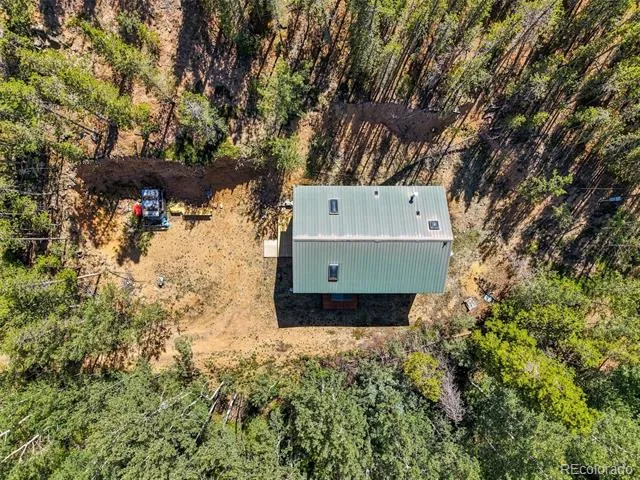 7101 County Road 43 Bailey, CO 80421