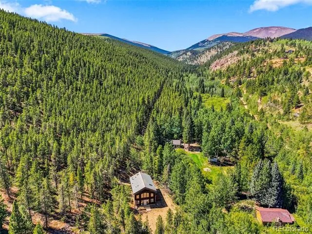 7101 County Road 43 Bailey, CO 80421