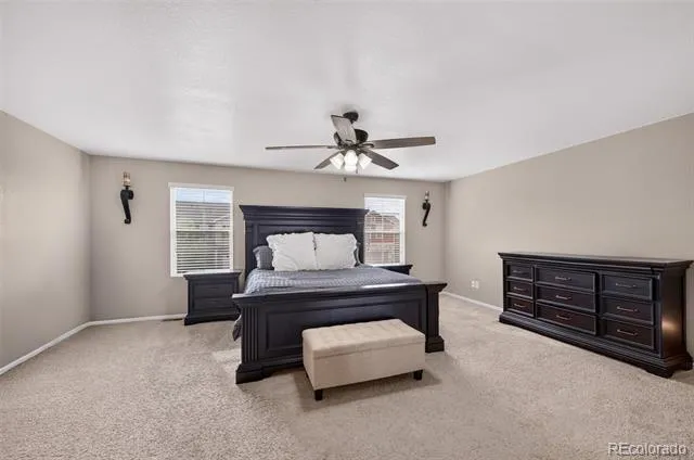 914 Charlton Drive Windsor, CO 80550