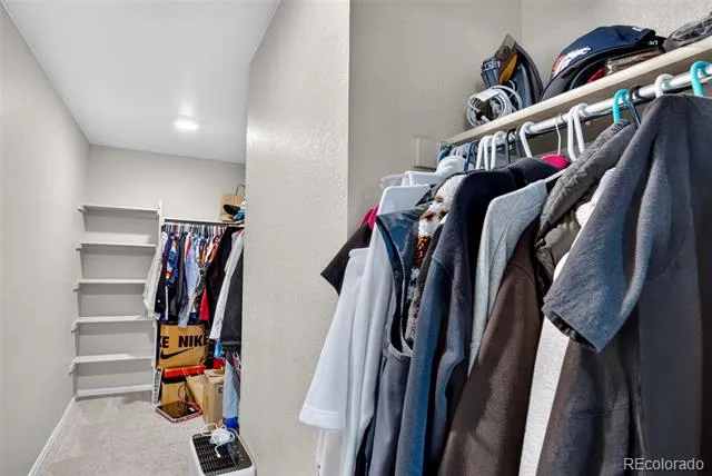914 Charlton Drive Windsor, CO 80550
