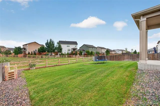 914 Charlton Drive Windsor, CO 80550