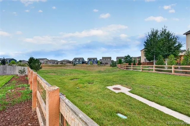 914 Charlton Drive Windsor, CO 80550