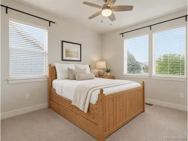 7853 Cherry Blossom Drive Windsor, CO 80550