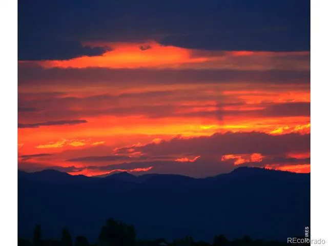 7853 Cherry Blossom Drive Windsor, CO 80550