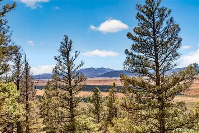 2189 Middle Fork Vista Fairplay, CO 80440