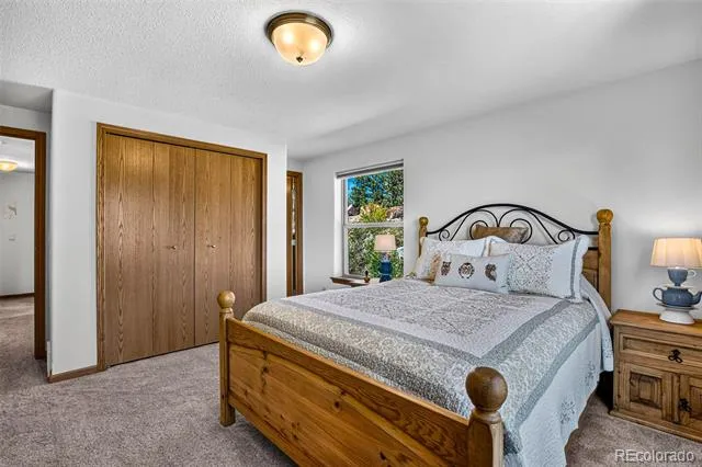 2189 Middle Fork Vista Fairplay, CO 80440