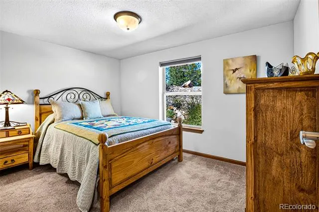 2189 Middle Fork Vista Fairplay, CO 80440