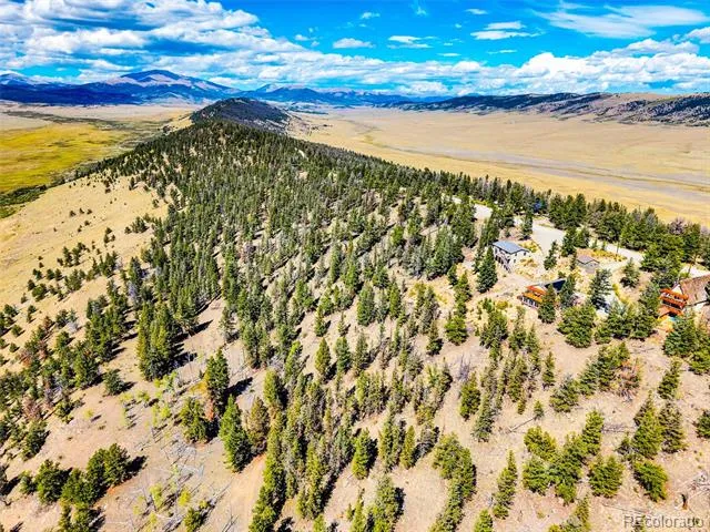 2189 Middle Fork Vista Fairplay, CO 80440