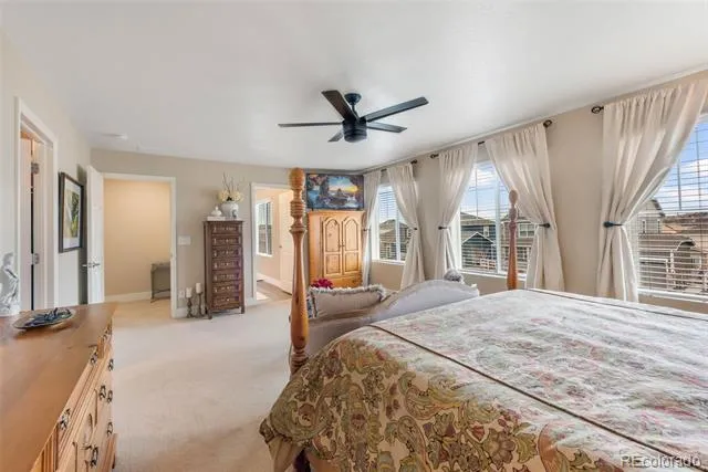 5955 Plains End Court Castle Rock, CO 80104
