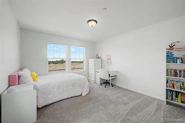 1181 Mourning Dove Avenue Erie, CO 80516
