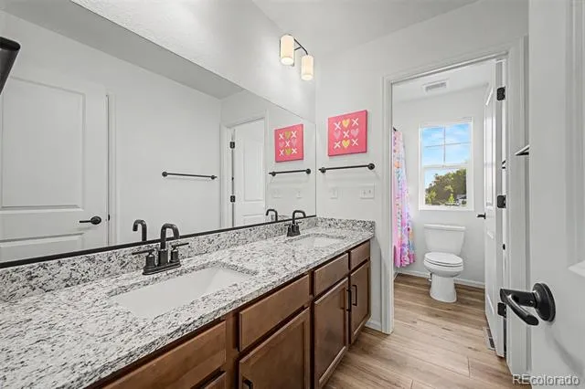 1181 Mourning Dove Avenue Erie, CO 80516