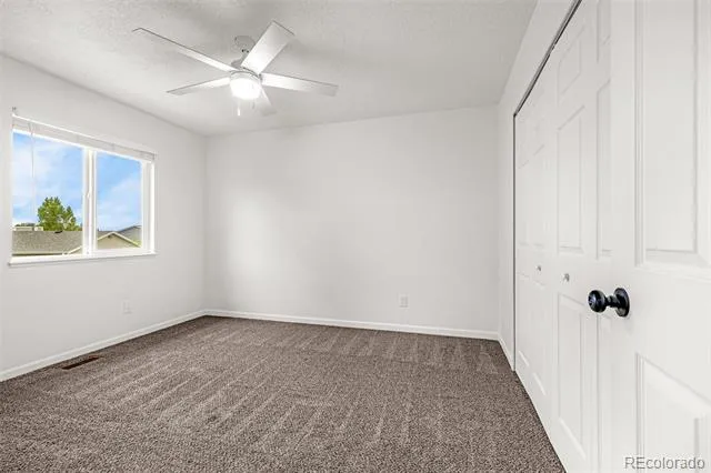 914 Daffodil Street Fountain, CO 80817