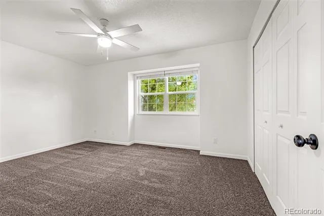 914 Daffodil Street Fountain, CO 80817