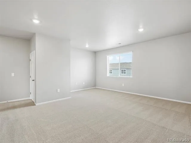 1607 Nathan River Drive Windsor, CO 80550