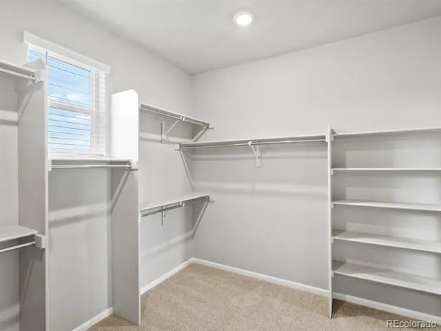 1607 Nathan River Drive Windsor, CO 80550