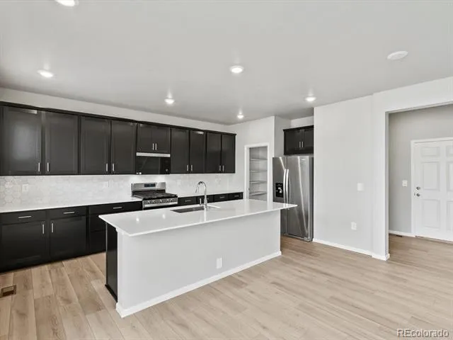 1607 Nathan River Drive Windsor, CO 80550