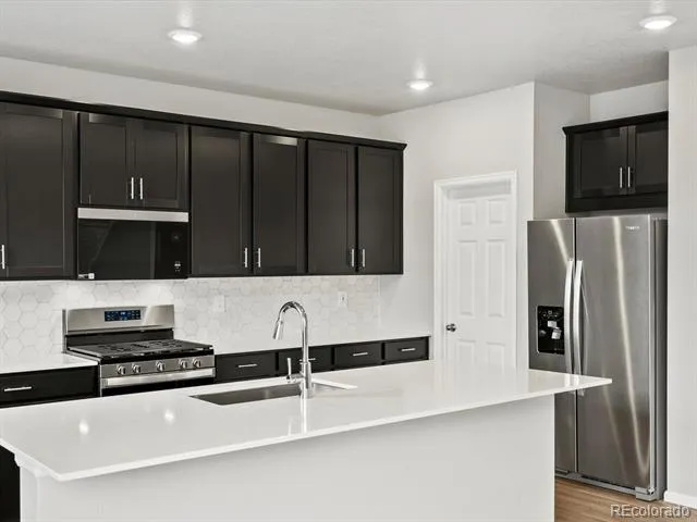 1607 Nathan River Drive Windsor, CO 80550