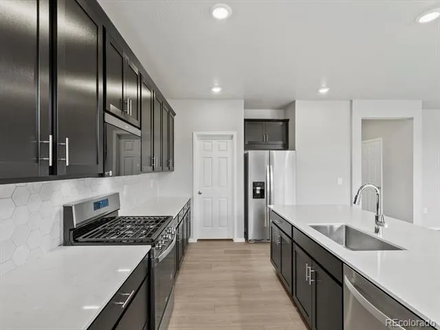 1607 Nathan River Drive Windsor, CO 80550