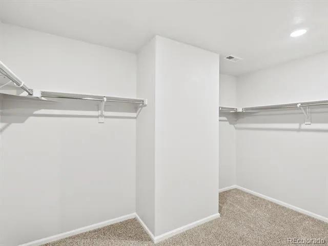 1691 Yampa River Drive Windsor, CO 80550
