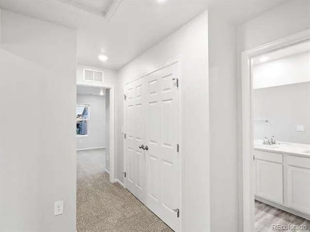 1691 Yampa River Drive Windsor, CO 80550