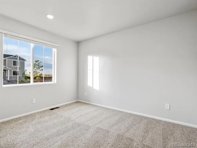 1691 Yampa River Drive Windsor, CO 80550