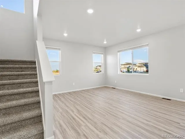 1691 Yampa River Drive Windsor, CO 80550
