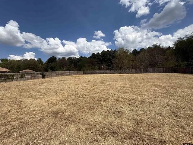 12190 Wild Horse Tyler, TX 75706