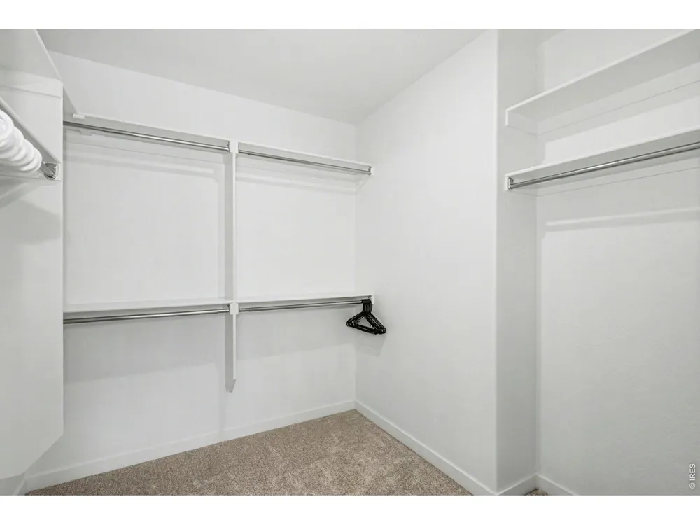 2124 Glean Court Windsor, CO 80550