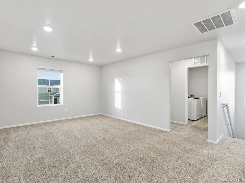 1691 Yampa River Drive Windsor, CO 80550