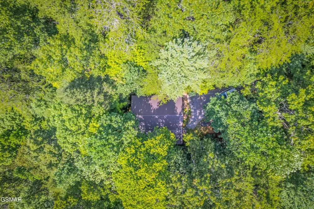 4081 Henry Town Road Sevierville, TN 37876