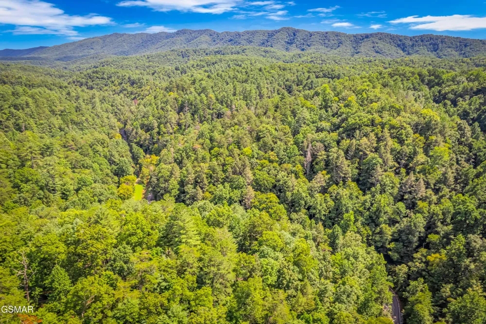 4081 Henry Town Road Sevierville, TN 37876