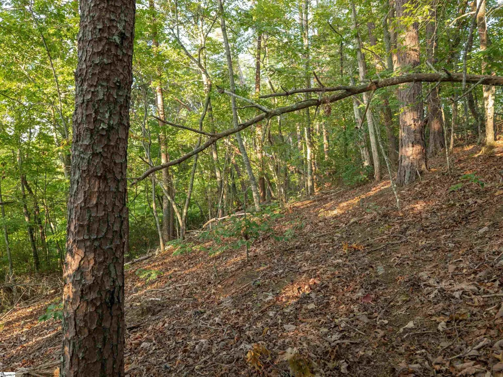 00 Anthony Road Pickens, SC 29671