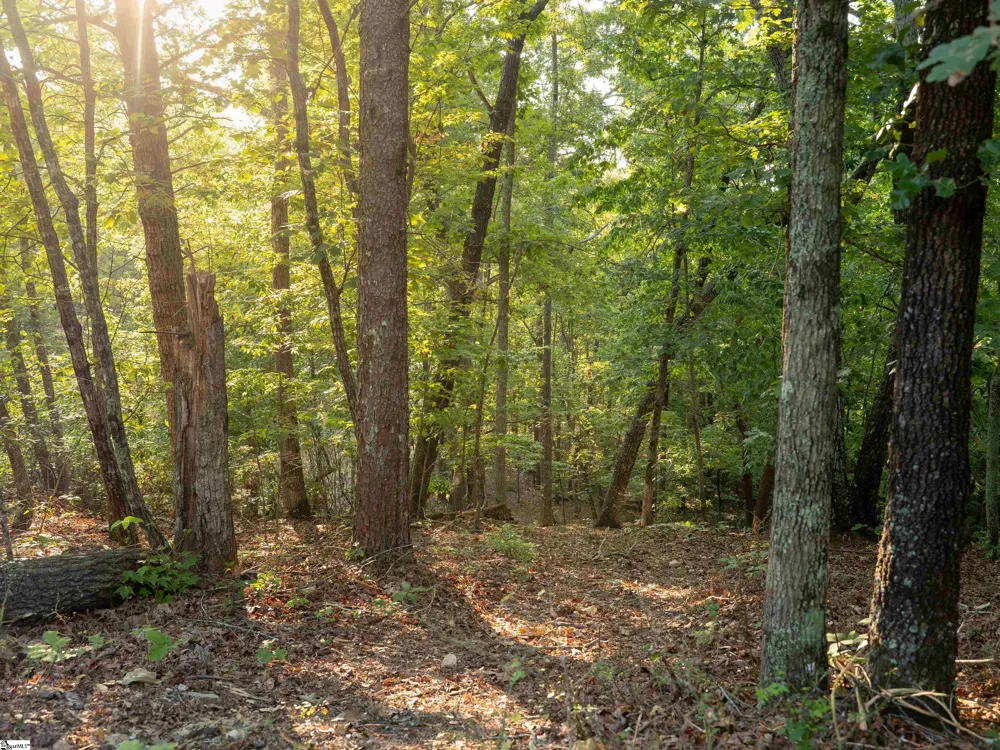 00 Anthony Road Pickens, SC 29671