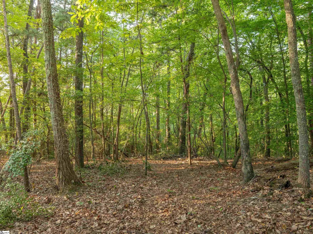 00 Anthony Road Pickens, SC 29671