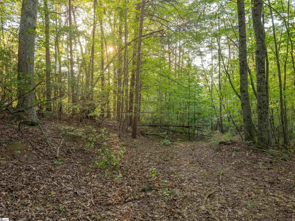 00 Anthony Road Pickens, SC 29671