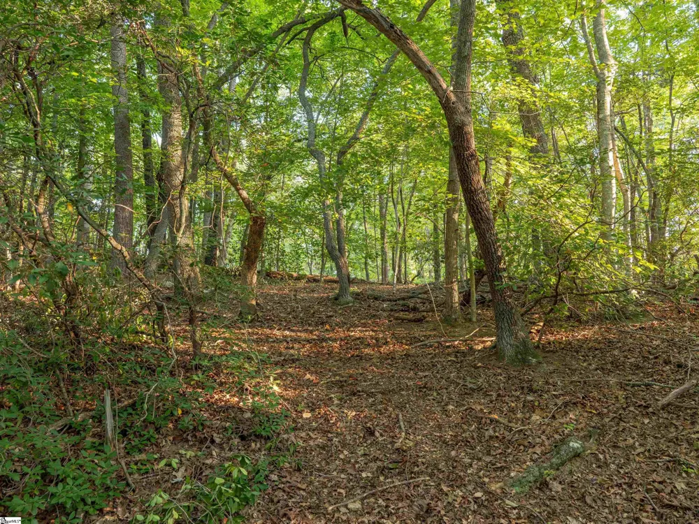 00 Anthony Road Pickens, SC 29671