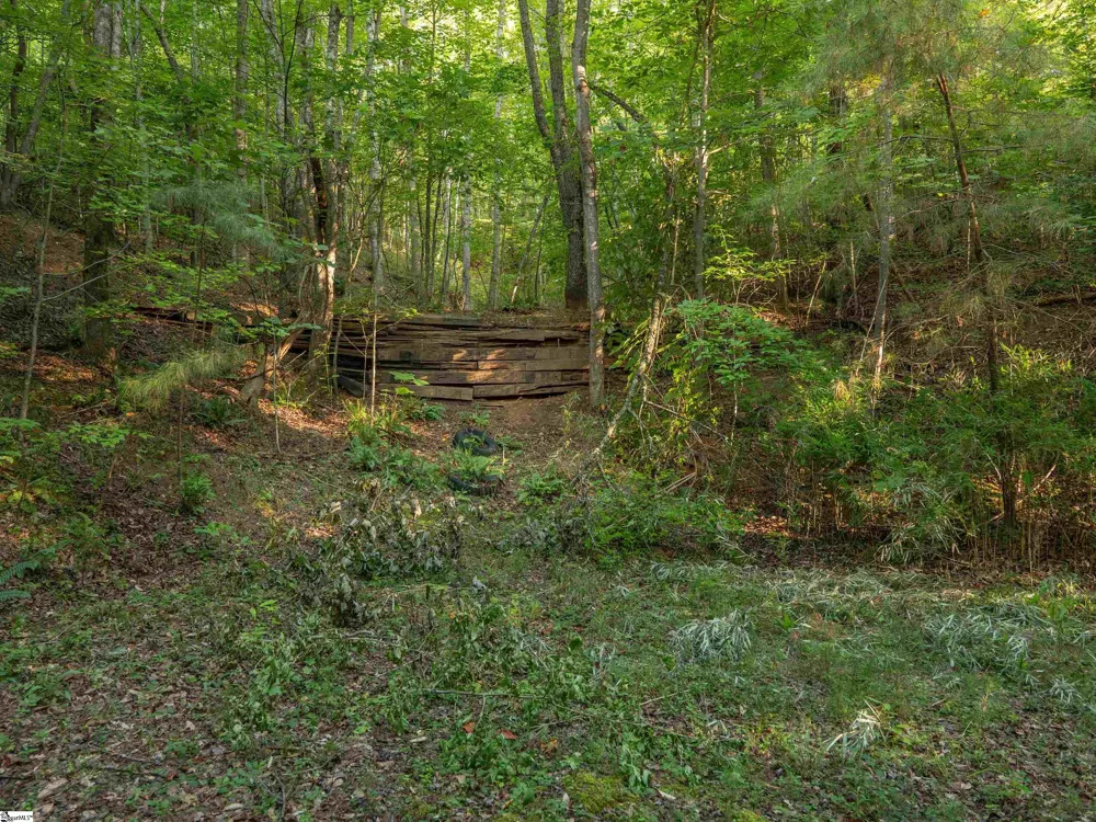 00 Anthony Road Pickens, SC 29671