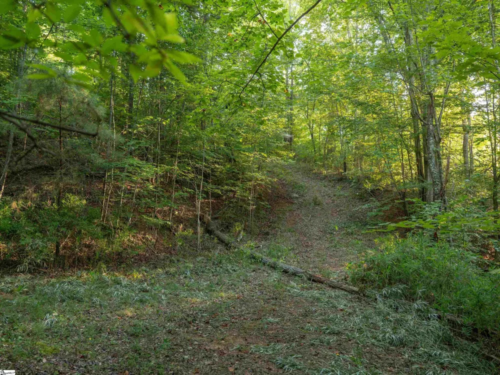 00 Anthony Road Pickens, SC 29671