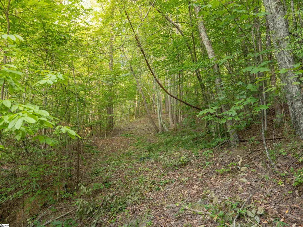 00 Anthony Road Pickens, SC 29671
