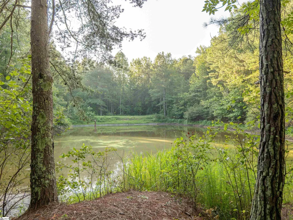 00 Anthony Road Pickens, SC 29671