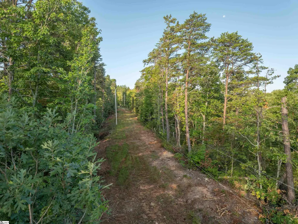 00 Anthony Road Pickens, SC 29671