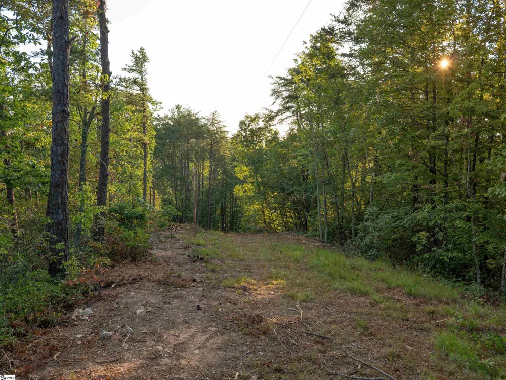 00 Anthony Road Pickens, SC 29671