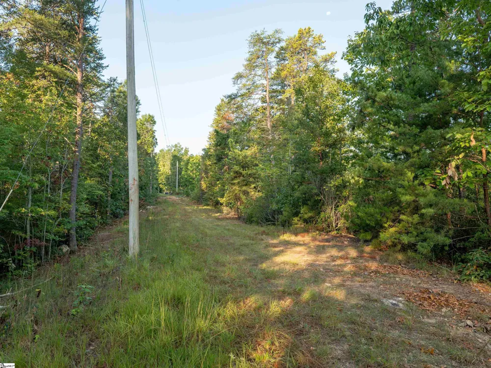 00 Anthony Road Pickens, SC 29671